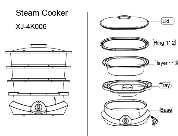 electric steam cooker 